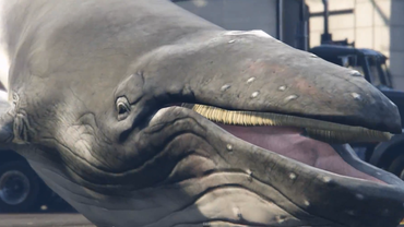 Løsslupne hvaler og ragdoll mods til GTA V får tårerne til at tri...