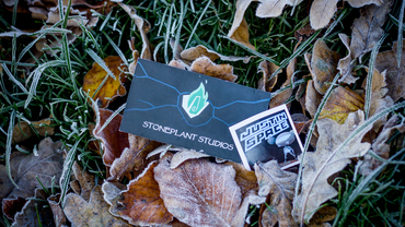 StonePlant Studios: "Det er hårdt, men fedt"