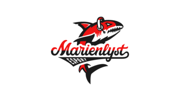 Marienlyst eSport med private investorer og store mål for 2017