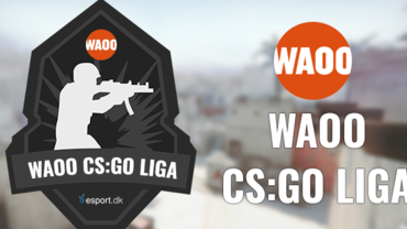 Et kig på Waoo ligaen