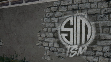 TSM samler nyt "dansk" hold